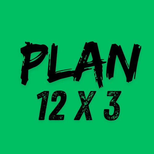 PLAN 12 x 3